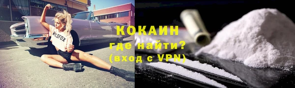 спайс Богданович